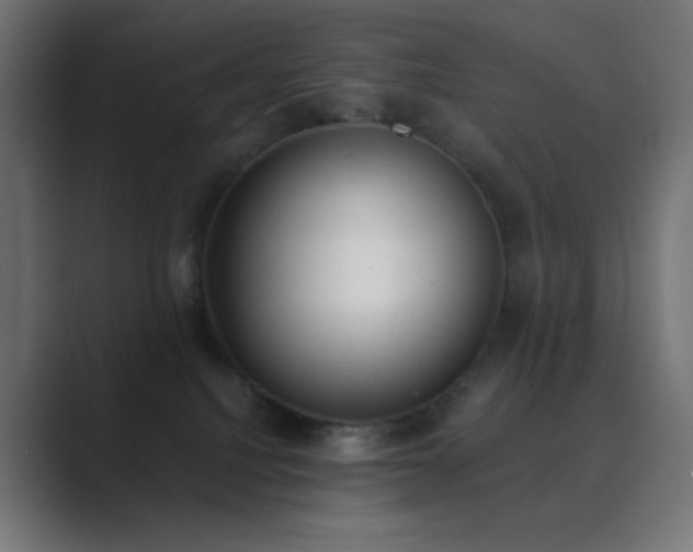 X0000089830088200706281220