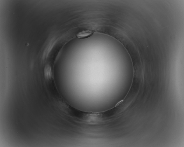 X0000089830089200706281220