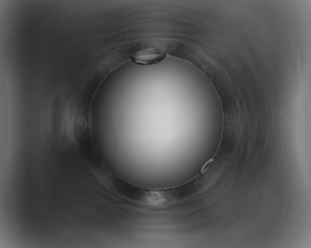 X0000089830091200706281220