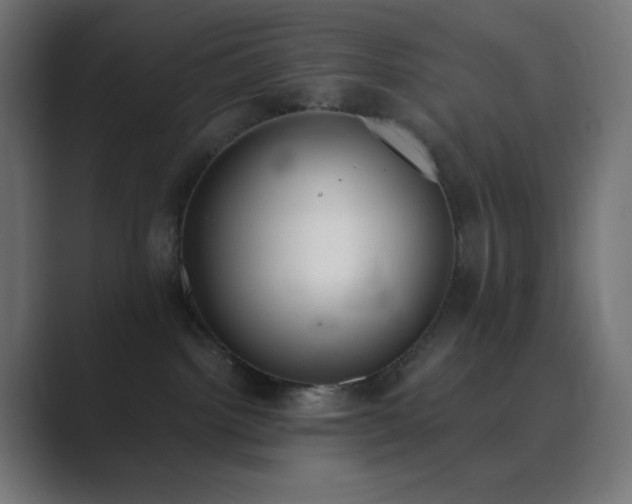 X0000089830092200706281220