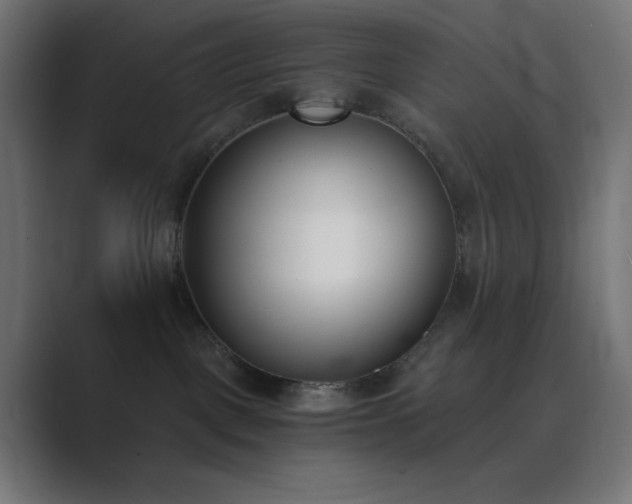 X0000089830093200706281220