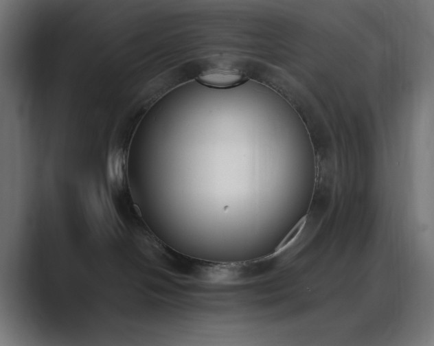 X0000089830094200706281220