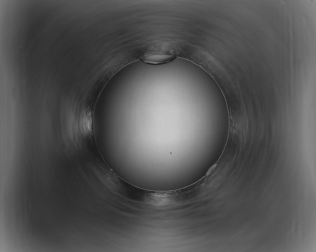 X0000089830095200706281220