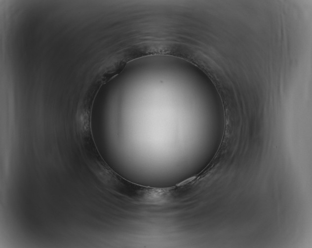 X0000089830096200706281220
