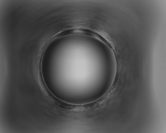 X0000089830097200706281219
