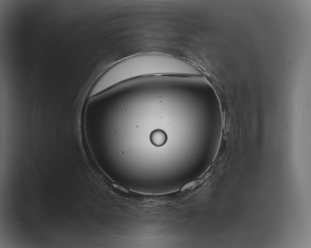 X0000089830099200706281219