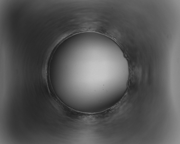 X0000089830100200706281219