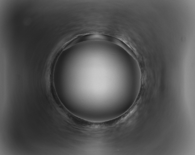 X0000089830101200706281219