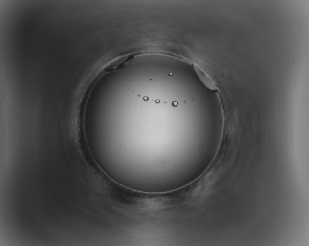 X0000089830103200706281219