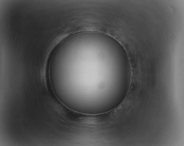 X0000089830104200706281219