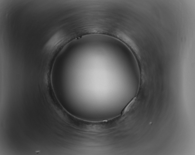 X0000089830105200706281219