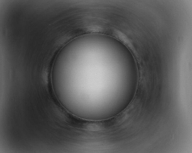 X0000089830106200706281219