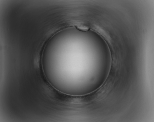 X0000089830107200706281219