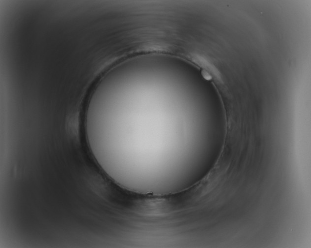 X0000089830108200706281219