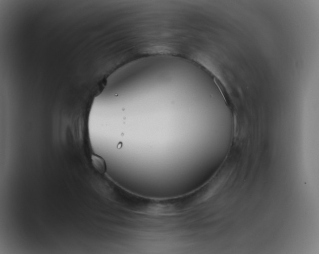 X0000089830109200706281219