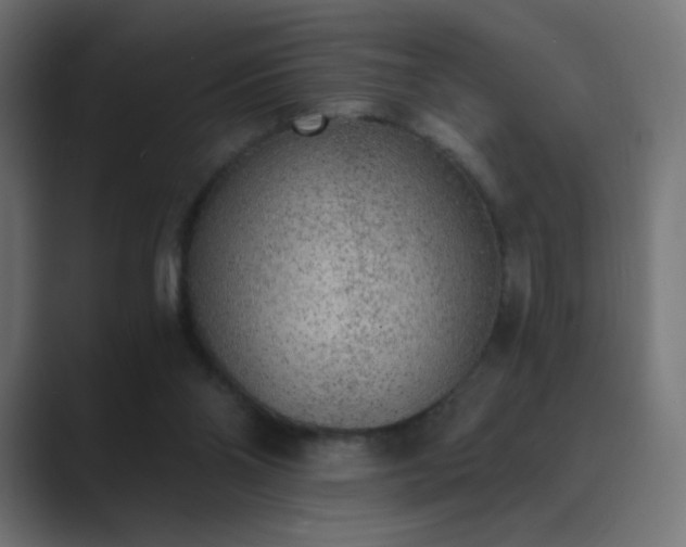 X0000089830110200706281219