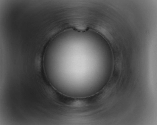 X0000089830111200706281219