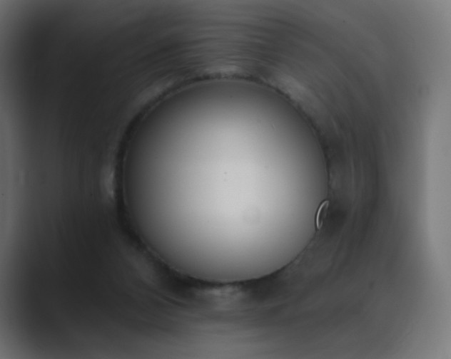 X0000089830112200706281219