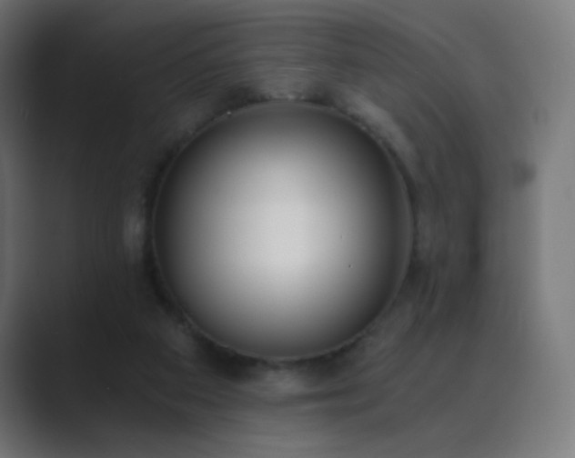 X0000089830113200706281219