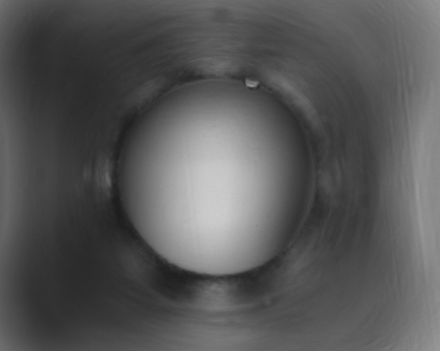 X0000089830115200706281219