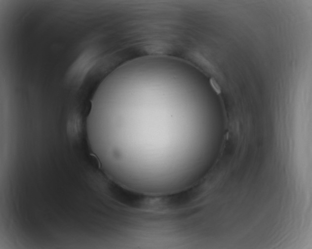 X0000089830117200706281219