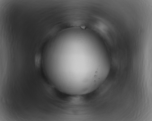 X0000089830118200706281219
