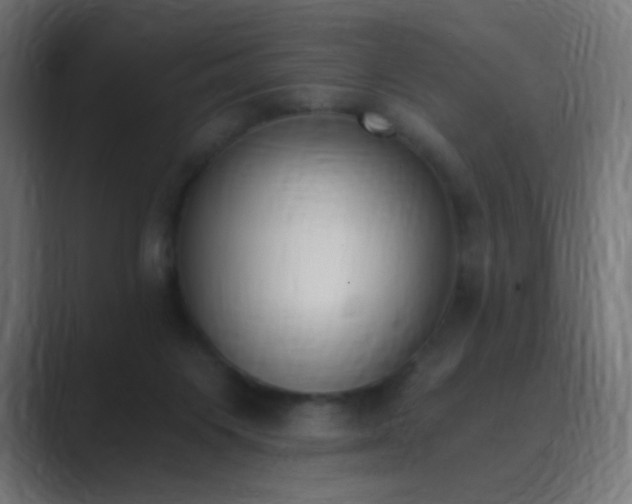 X0000089830119200706281219