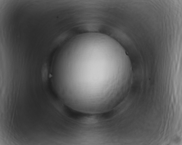 X0000089830120200706281219