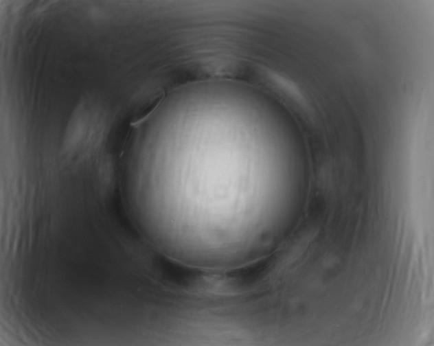 X0000089830121200706281219