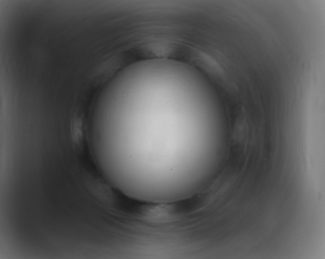 X0000089830122200706281219