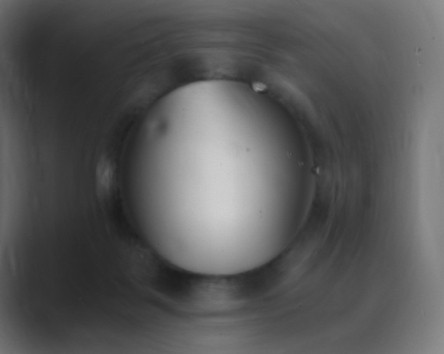 X0000089830123200706281219