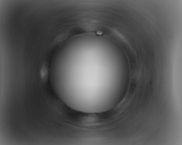 X0000089830124200706281219