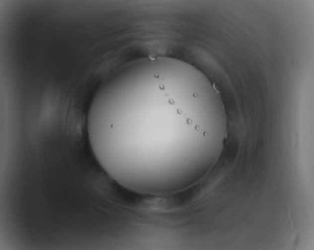 X0000089830125200706281219