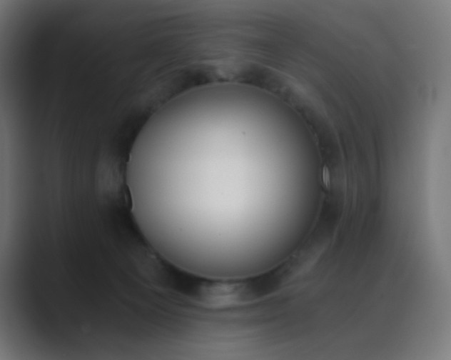 X0000089830129200706281219