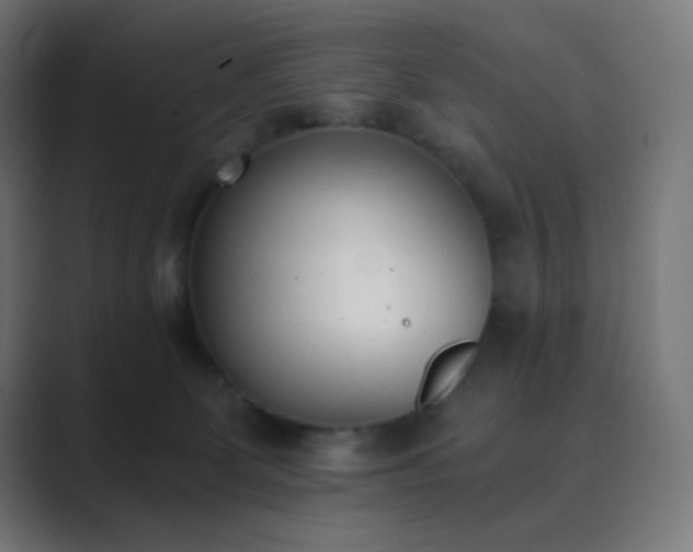 X0000089830131200706281219