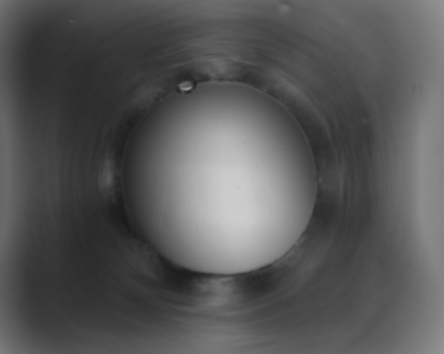 X0000089830132200706281219