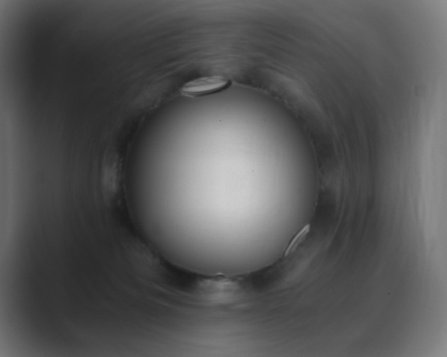 X0000089830133200706281219
