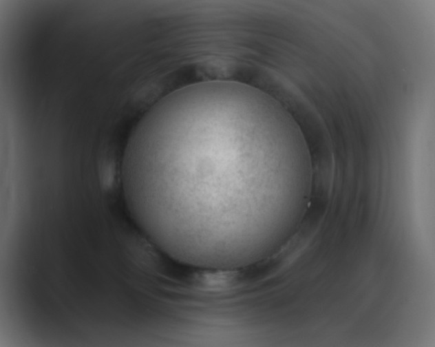 X0000089830134200706281219