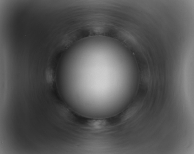 X0000089830135200706281219