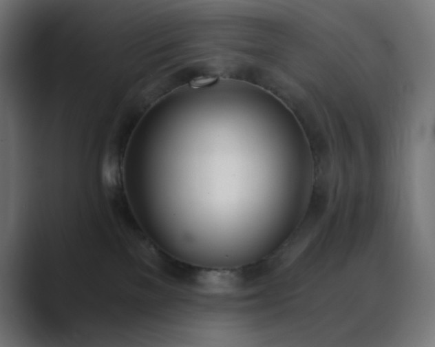 X0000089830137200706281219