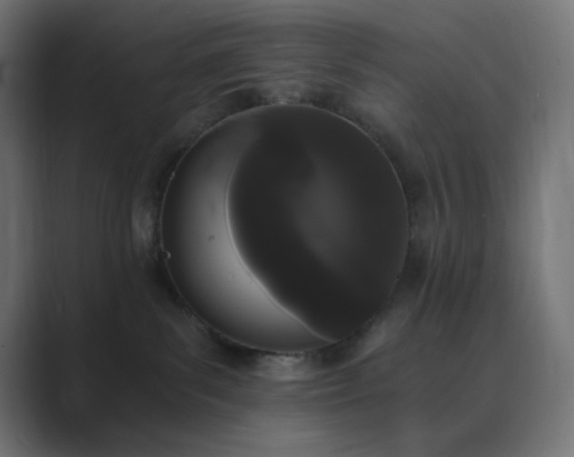 X0000089830139200706281219