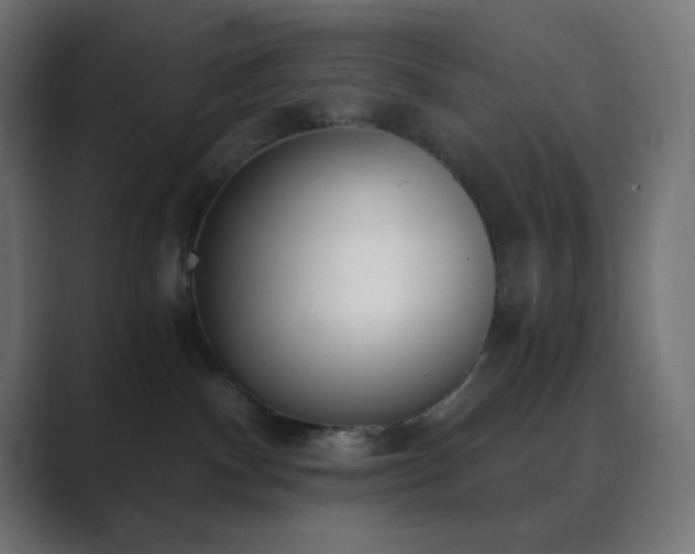 X0000089830140200706281219