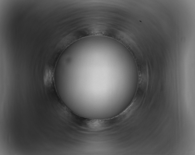 X0000089830142200706281219