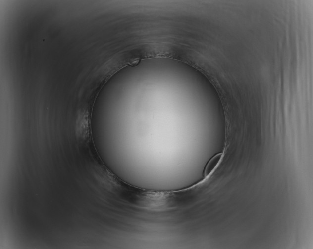 X0000089830144200706281219
