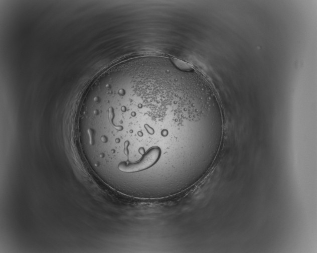 X0000089830145200706281218