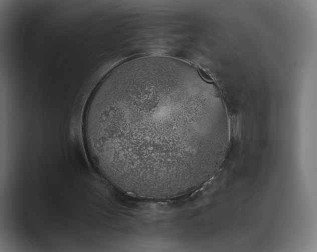 X0000089830147200706281218
