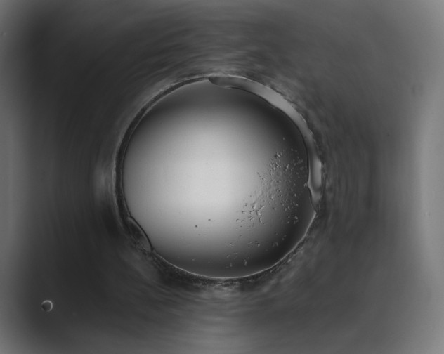 X0000089830148200706281218