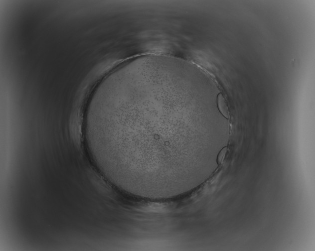 X0000089830149200706281218