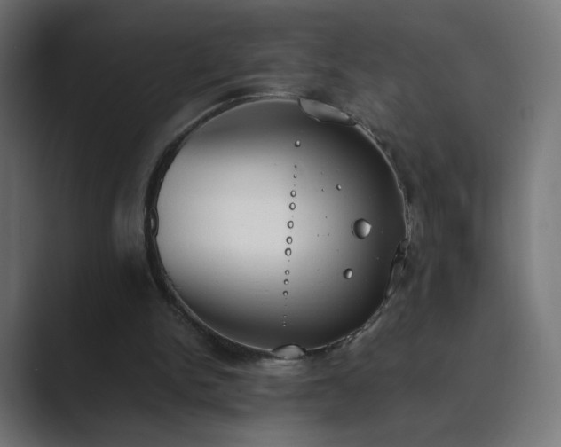 X0000089830150200706281218