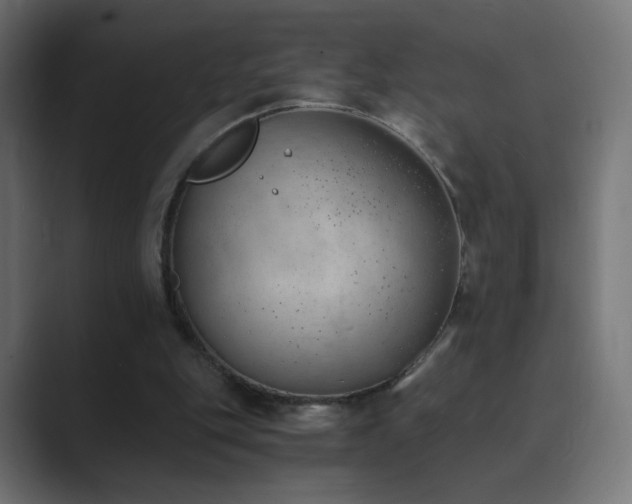 X0000089830151200706281218